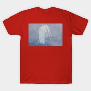 Up and Over: Snowbirds T-Shirt